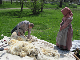 A man outside the Wade House shears a batch of sheepskin.