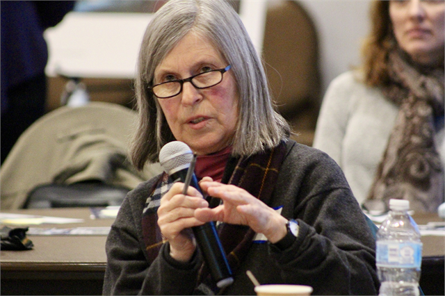 A woman shares her thoughts about a new Wisconsin history museum being located on Capitol Square during the "Share Your Voice" session April 10, 2019 at the Warner Park Community Recreation Center in Madison.