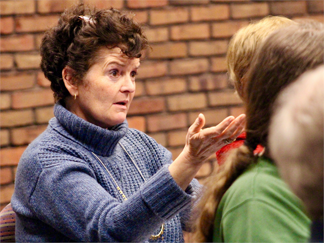 A woman offers her thoughts with fellow guests during the April 17, 2019 "Share Your Voice" new museum engagement session in La Crosse.