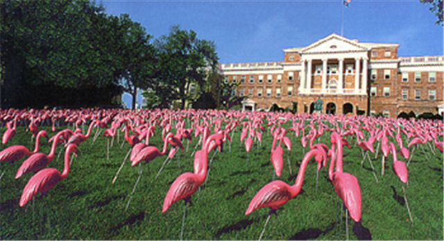 Morning of September 4, 1979 at Bascom Hall, 1979