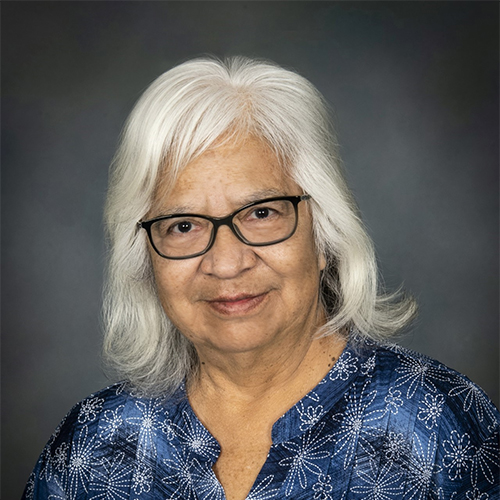 Author photo, portrait of Carol Cornelius framed by a gray professional background, smiling slightly with shoulder length white hair and black frame glasses.