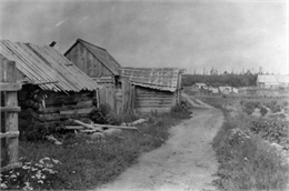 Dirt trail passing log shack that was probably the home of Michael and Madeline Cadotte, La Pointe.