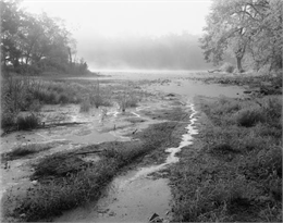 A misty, foggy swamp in the Wisconsin River.