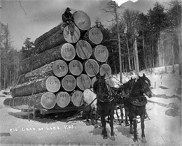 A man sits atop a very high load of logs on a sled pulled by three horses.