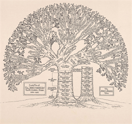 Black and white illustration of the Ames-Angier Family Tree.