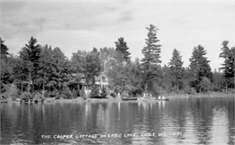 Lake scene with cottage and evergreen trees.