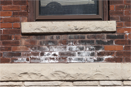 Efflorescence on brick