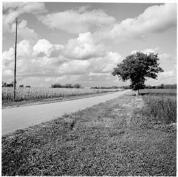 Landscape view from the country road north of the Quinney farm.