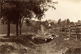 Aftermath of the Battle of Antietam, WHI 69999.