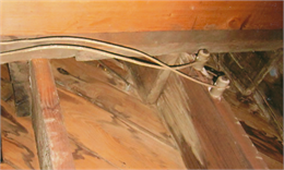 knob and tube wiring