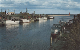 Color photographic postcard of the fisherman's dock taken from the harbor walkway. White boats are moored on either side of the Ahnapee River as it flows into Lake Michigan.