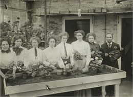 Seven women and one man standing in a row potting plants at a potting table, in what appears to be a greenhouse. Most of the women are wearing white blouses with a decorative bow or tie at the collar.