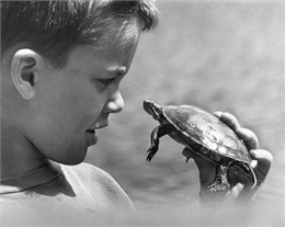 A boy holds a turtle close to his face, and gazes into its eyes.