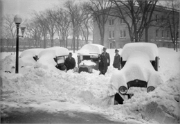 Winter scene with three men standing beside parked cars that have been buried by snowfall.