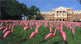 Morning of September 4, 1979 at Bascom Hall