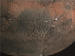 Detail of punctate decoration