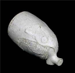 Detail of the clay pipe