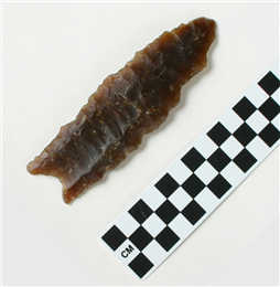Paleo-Indian fluted spear point