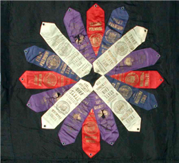Fair ribbon quilt detail