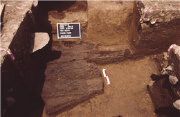 Excavation site of the Spanish coin