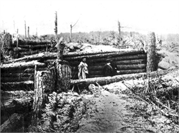 Confederate defenses of earth and logs.