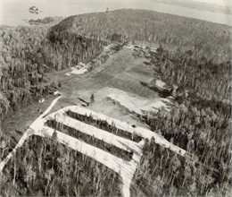 Aerial view of Peninsula Park, with the Lake Michigan shoreline in the background.