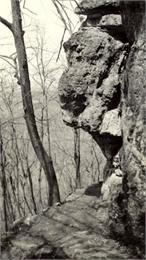 The Buffalo Head, a 'native' stone sculpture by the Mississippi River at the junction of Flint Ledge and Indian trails in Wyalusing State Park.