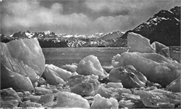 View of Muir Glacier from across a bay.