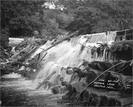 Water pouring between the logs of the Mirror Lake Dam. The opposite shoreline has trees and plants covering a steep, rocky cliff.