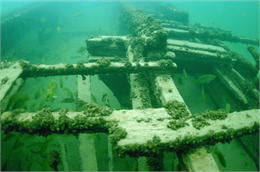 Geneva Lake Shipwrecks
