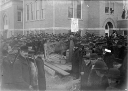 Crowd at Farmer's Course