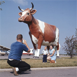 Bessie the Cow