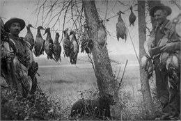 Two men standing holding guns, with birds draped around their necks from hunt. Line strung between trees shows additional kill from duck hunt. A dog sits in the grass between the men.