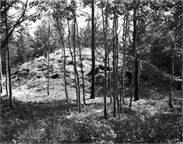 A historic black and white image of a mound surrounded by trees.