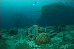 A scuba diver explorers an underwater shipwreck
