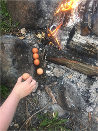 Eggs in Fire