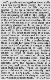Pickled Walnuts Newspaper Recipe (Dodgeville Chronicle 1875)