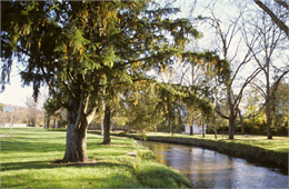 A color image of Goeres Park featuring trees and grass along the banks of Spring Creek. There is a stone bridge over the creek visible in the distance.