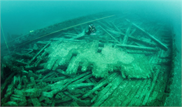 Transfer Shipwreck