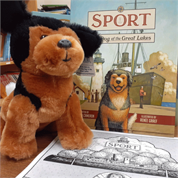 Stuffed animal next to Sport book