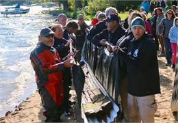 Lake Mendota Canoe Recovery