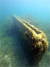 Boaz Shipwreck (Schooner)