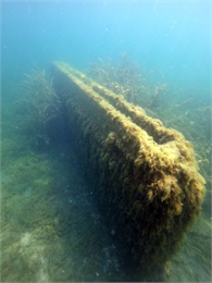 Boaz Shipwreck