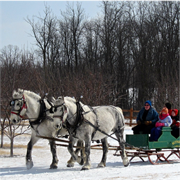 Over the River and Through the Woods