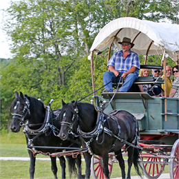 Two black horses dragging an older style stage coach, with an older man wearing blue plaid in the front